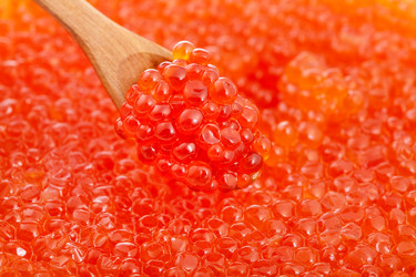 Similar image 20977772