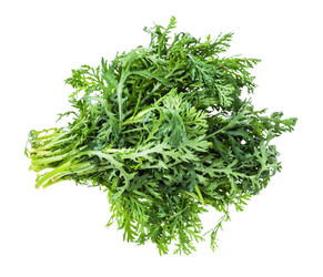 Similar image 20978255