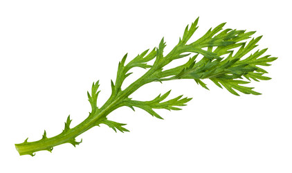 Similar image 21012944