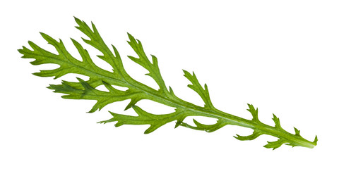 Similar image 21012945