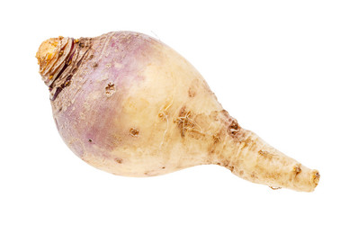 Similar image 21012949