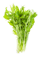 Similar image 21013074