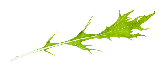 Similar image 21013077