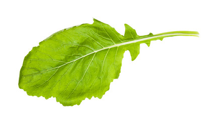 Similar image 21013236