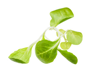 Similar image 20969262