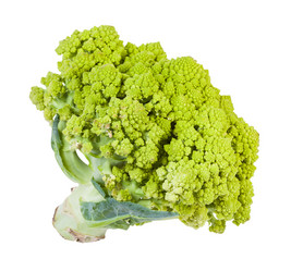 Similar image 20969441