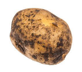 Similar image 20970087