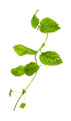 Similar image 20970099