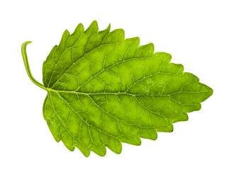 Similar image 20970100