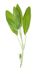 Similar image 20970104