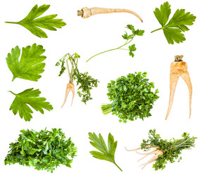 Similar image 20970701