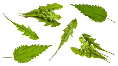 Similar image 20970705