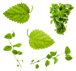 Similar image 20970708