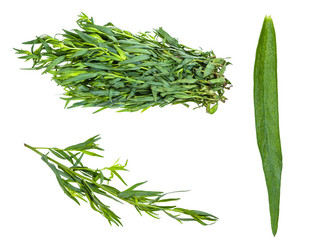 Similar image 20970711