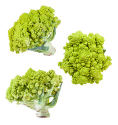 Similar image 20971020