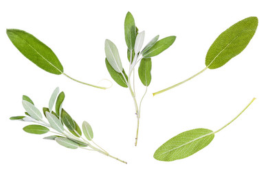 Similar image 20975894