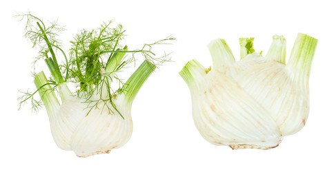 Similar image 20977283