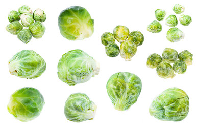 Similar image 20977490