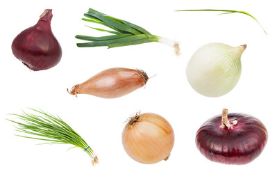 Similar image 20977492