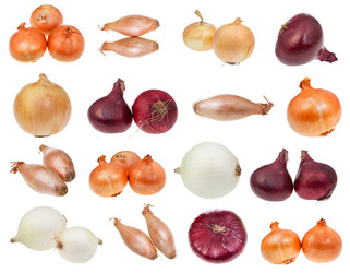 Similar image 20977493