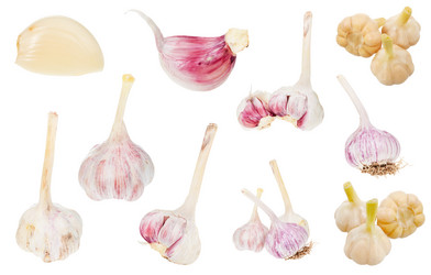 Similar image 20977494