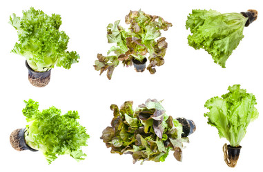 Similar image 20977499