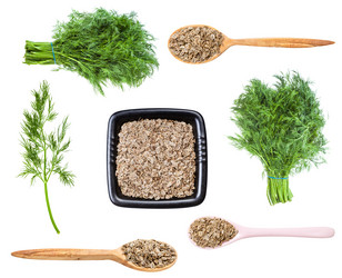 Similar image 20970109