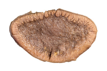 Similar image 20977844