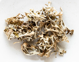 Similar image 20970145