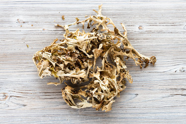 Similar image 20970146