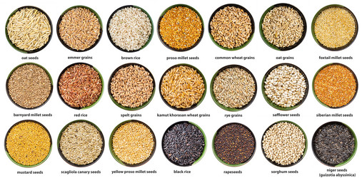 Similar image 20970746