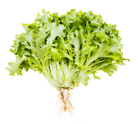 Similar image 20977521