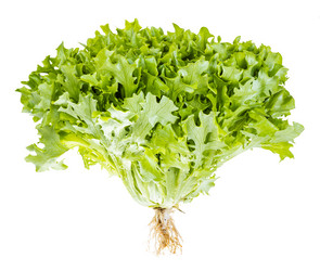 Similar image 20977522