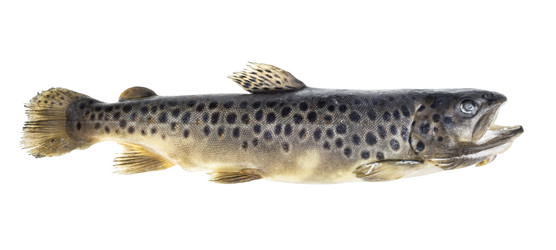 Similar image 20978041