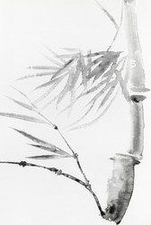 Similar image 20969265