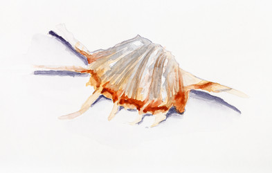 Similar image 20969544