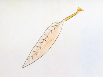 Similar image 20970420