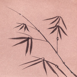 Similar image 20970764