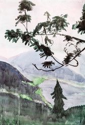 Similar image 20978054