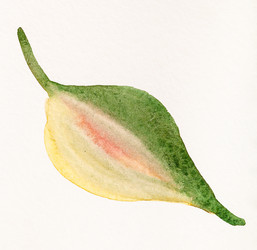 Similar image 21013100