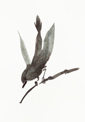 Similar image 21013547