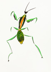 Similar image 21013548