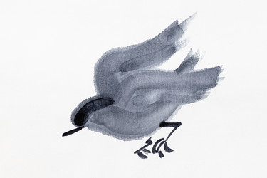 Similar image 20969865