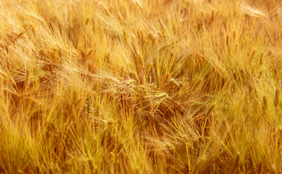 Similar image 20990727