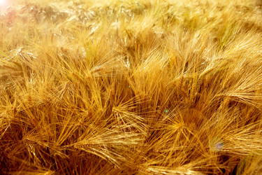 Similar image 20990728