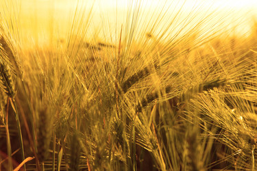 Similar image 20990731