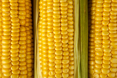 Similar image 20990269