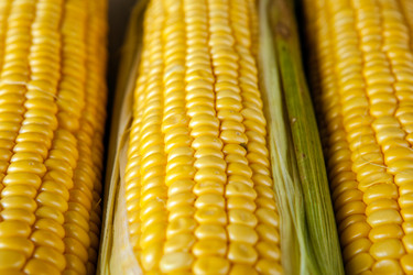 Similar image 20990270