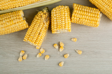 Similar image 20990484