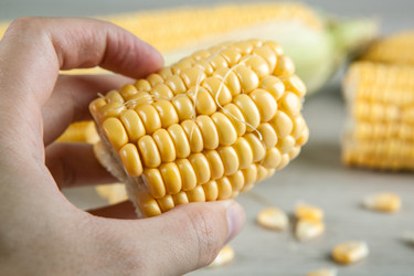 Similar image 20990485